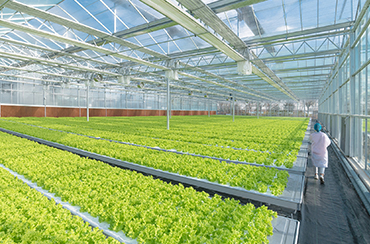Best Way to Do Eco and Agriculture